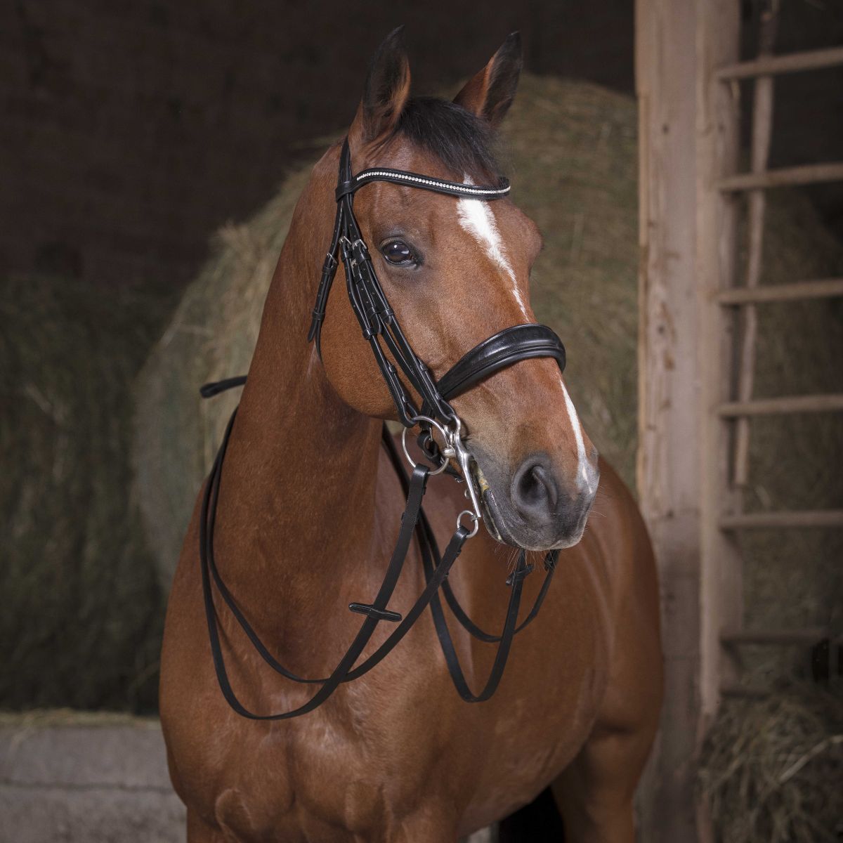 Renes-de-bride-NORTON-13-mm-1