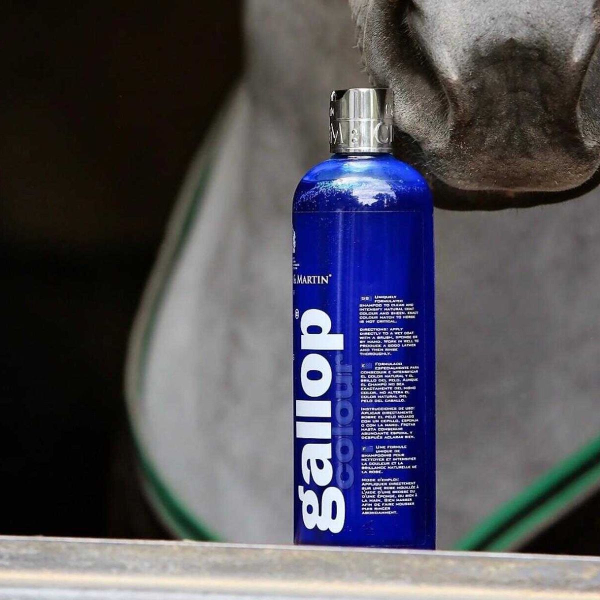 Shampoing-Gallop-CARR&DAY&MARTIN-Gris-2