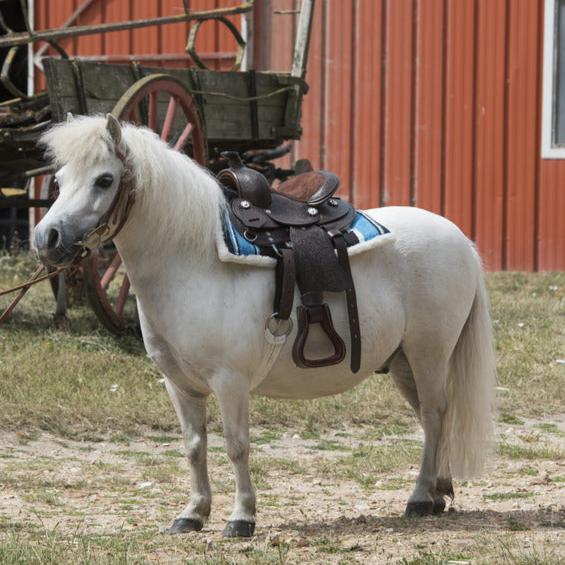 Tapis navajo poney matelassé