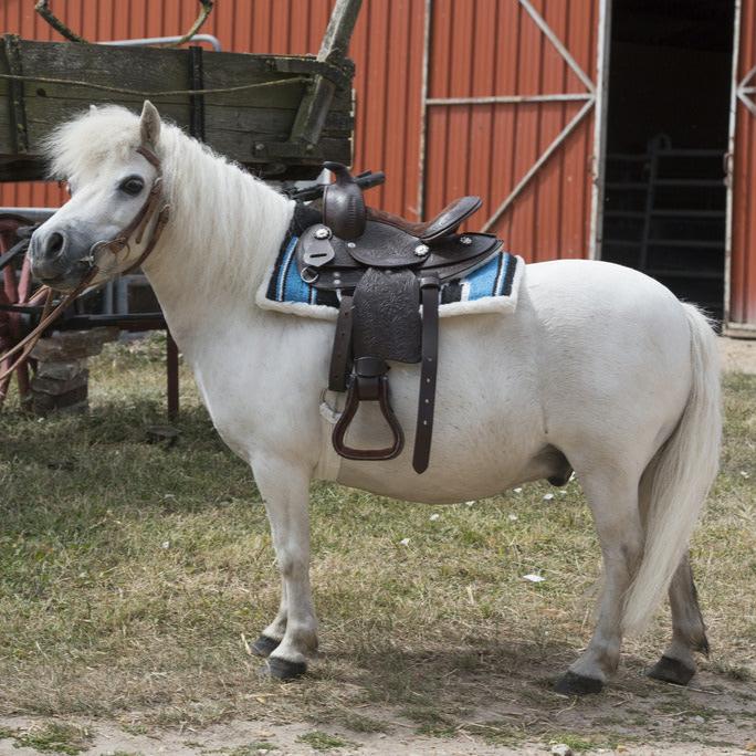 Tapis navajo poney matelassé