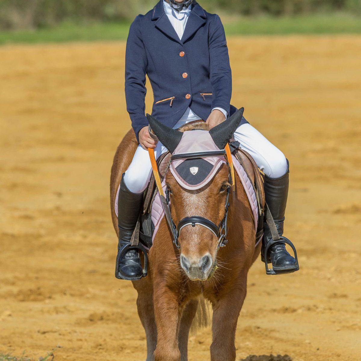 Veste de concours enfant Equithème Athens marine