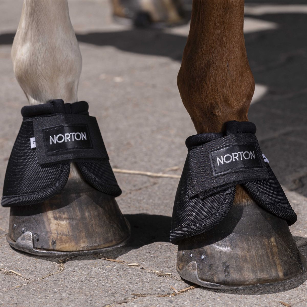 cloches-norton-2520-d-1