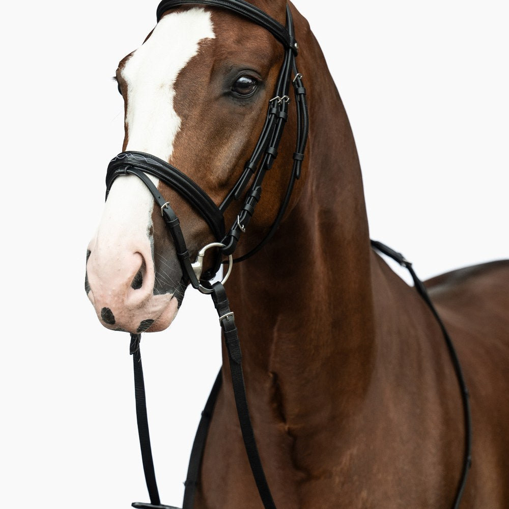 Bridon Jana HKM poney monté