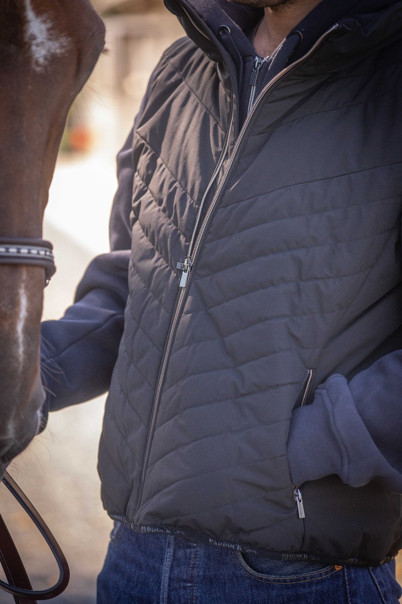 Gilet Paddock Longueil noir en situation