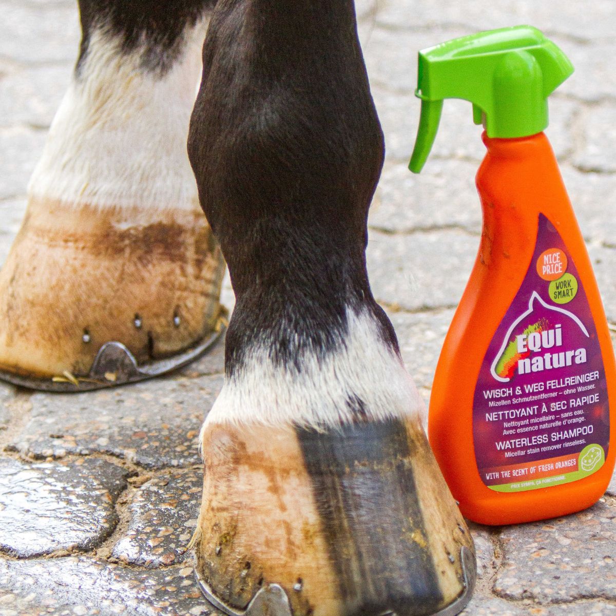 nettoyant-pelage-express-equinatura-2