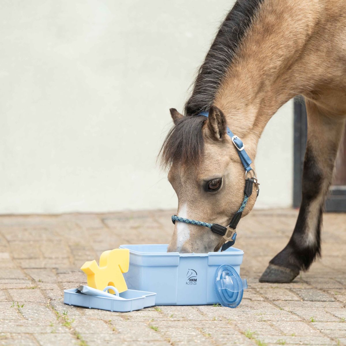 set-de-pansage-kids-set-de-7-pieces-19