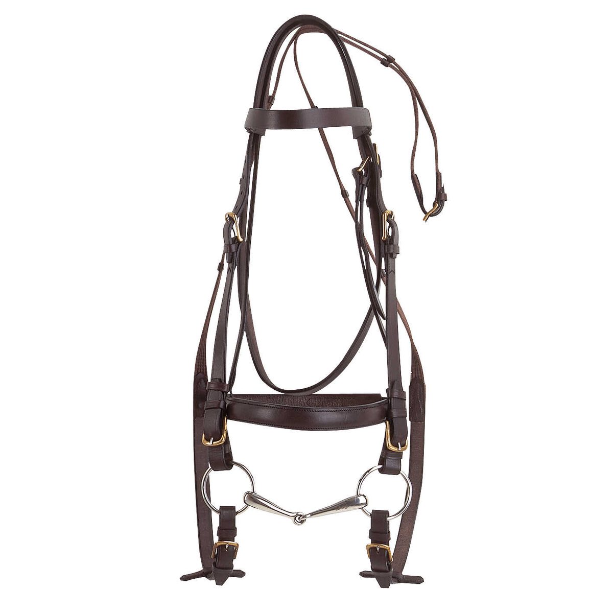 Bridon cheval de trait Norton havane