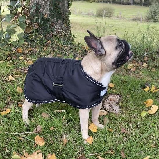 Manteau pour chien imperméable HKM Rex