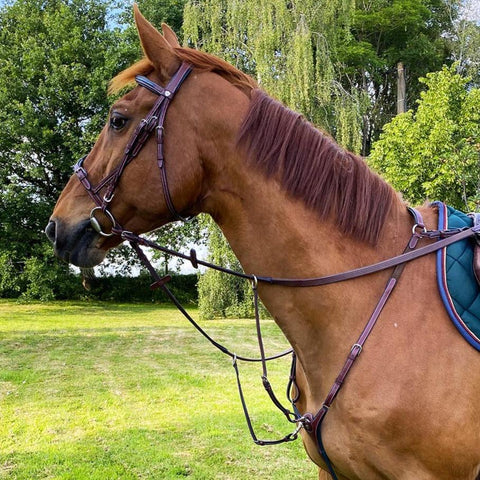 Collier de chasse et bridon  pour poneys et chevaux Flags&Cup Paris marron et vert