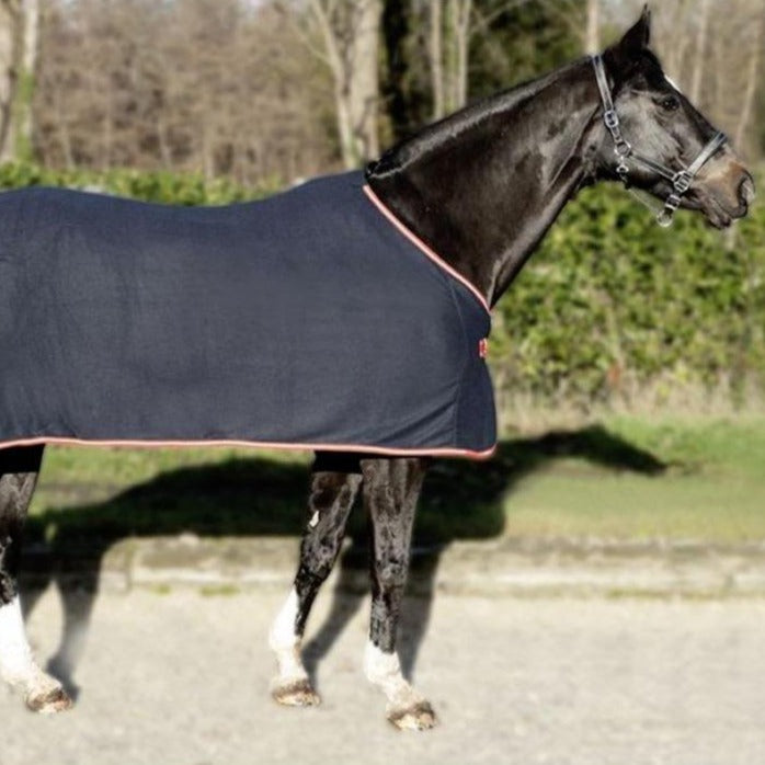 Chemise séchante pour shetlands, poneys et chevaux HKM Alaska