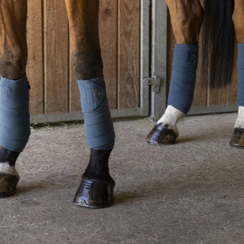 Bandes polaires pour chevaux Equithème Oslo marine