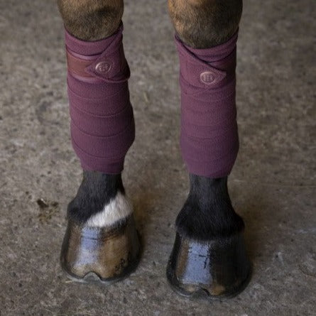 Bandes polaires pour chevaux Equithème Oslo bordeaux