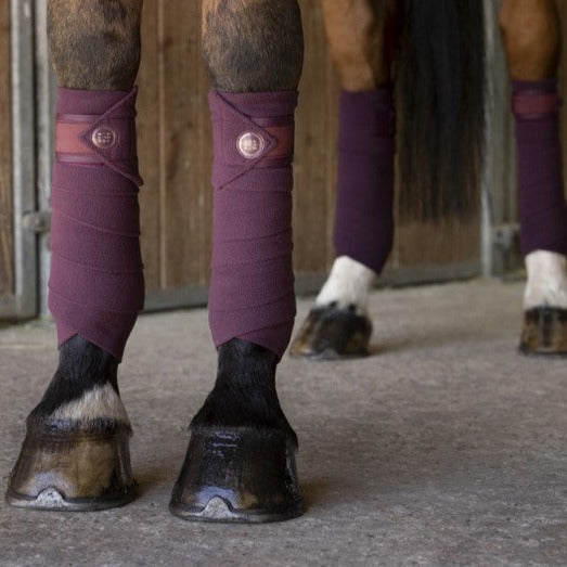 Bandes polaires pour chevaux Equithème Oslo bordeaux