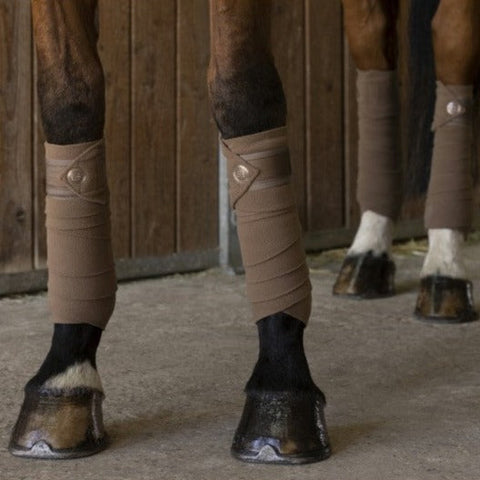 Bandes polaires pour chevaux Equithème Oslo marron