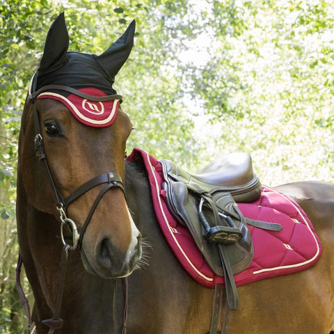 Bonnet de travail aux propriétés thermiques pour chevaux Back On Track Night rouge porté