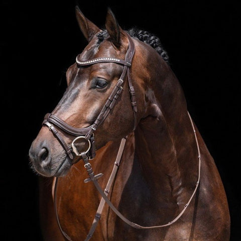 Bridon avec muserolle pull-back pour poneys et chevaux HKM Anatomic Crystal marron porté