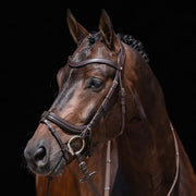 Bridon avec muserolle pull-back pour poneys et chevaux HKM Anatomic marron porté