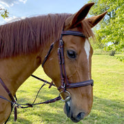 Bridon en cuir naturel pour poneys et chevaux Flags&Cup Helsinki marron