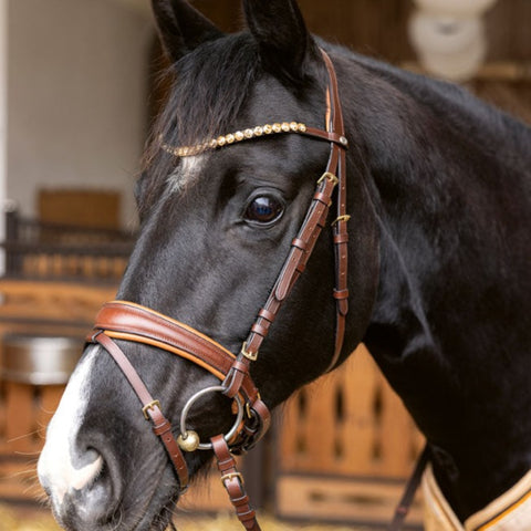 Bridon avec muserolle pull back pour poneys et chevaux HKM Marrakesh marron