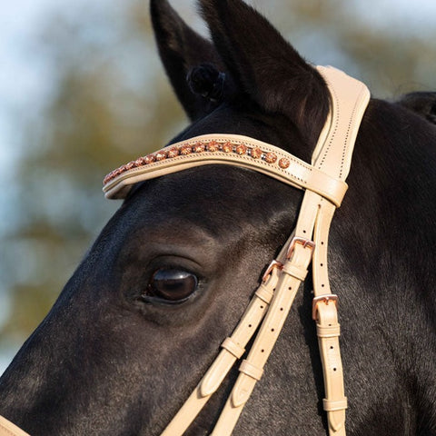 Bridon en cuir pour poneys et chevaux HKM Rosegold Elegant