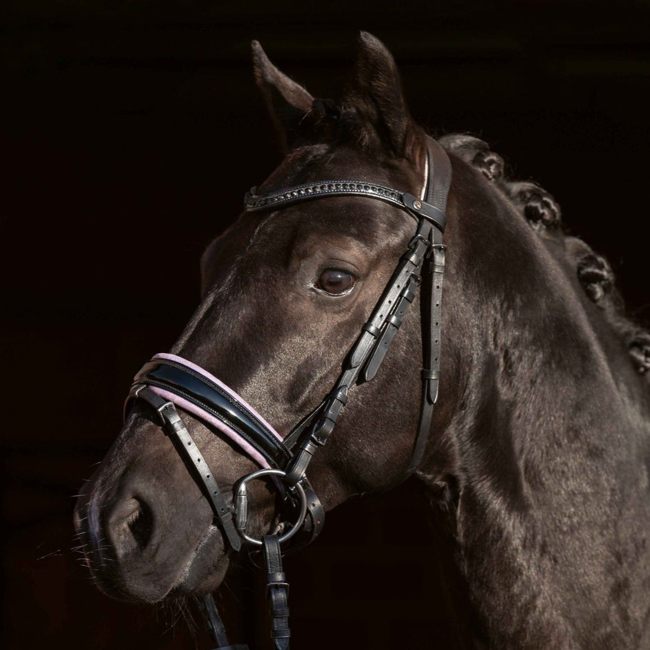 Bridon pour poneys et chevaux HKM Sofia noir doublé lilas