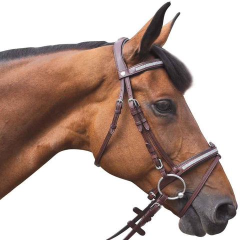 Bridon pour poneys et chevaux Flags&Cup Kitsi marron porté