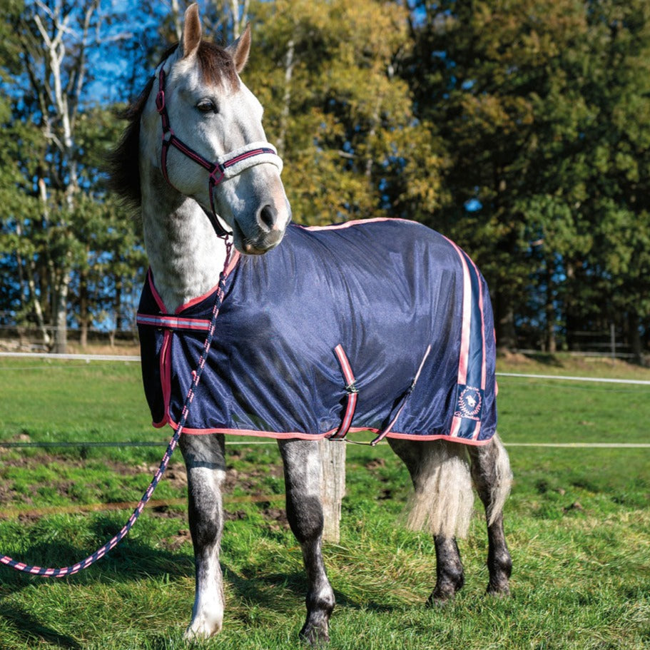 Chemise anti-mouches pour chevaux HKM Classic Polo marine portée