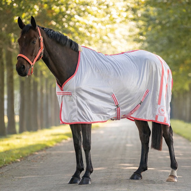 Chemise anti-mouches pour chevaux HKM Classic Polo grise portée