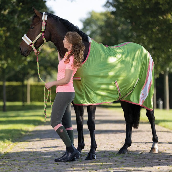 Chemise anti-mouches pour chevaux HKM Classic Polo vert pomme portée