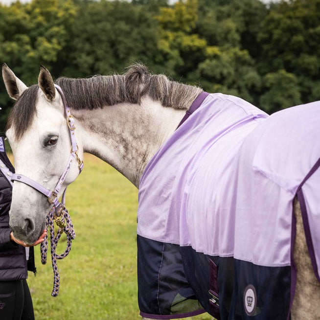 Chemise anti-mouches pour poneys et chevaux du 115 au 165 cms HKM Lavender Bay