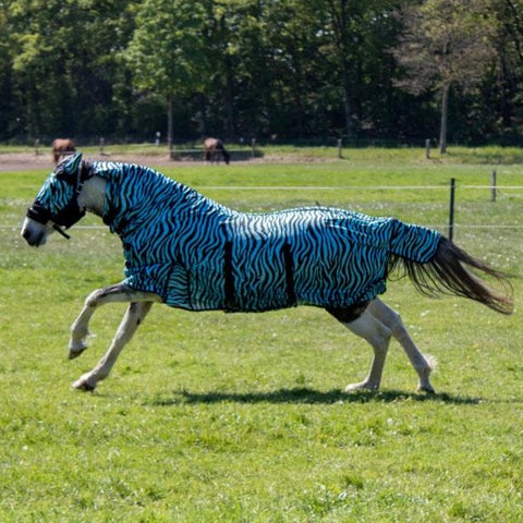 Chemise anti-mouches pour poneys et chevaux HKM Zebra bleue