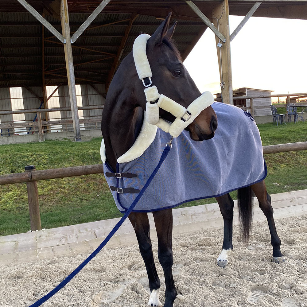 Chemise séchante pour poneys et chevaux Canter doublée polaire avec col en fourrure synthétique