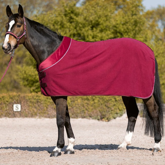 Chemise polaire séchante pour poneys et chevaux HKM Berry rouge cerise