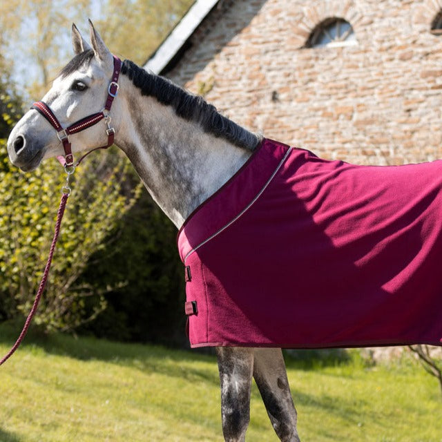 Chemise polaire séchante pour poneys et chevaux HKM Berry rouge cerise