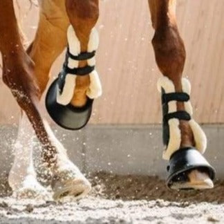 Protège-tendons respirants et anti-chocs pour poneys et chevaux Back On Track Airflow doublés de mouton synthétique 