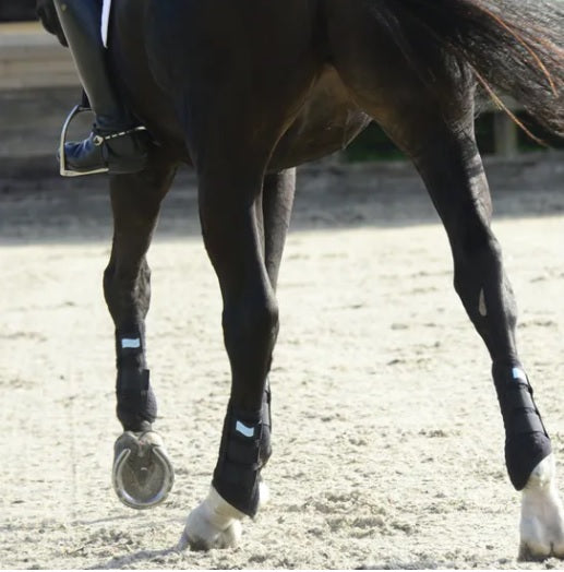 Guêtres de travail pour poneys et chevaux Equilibrium Stretch&Flex simples noires portées