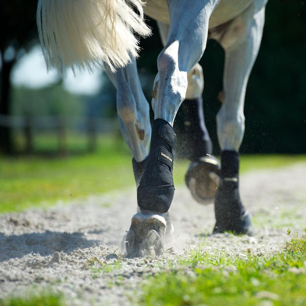 Guêtres de travail fermées pour poneys et chevaux Back On Track antérieures et postérieures