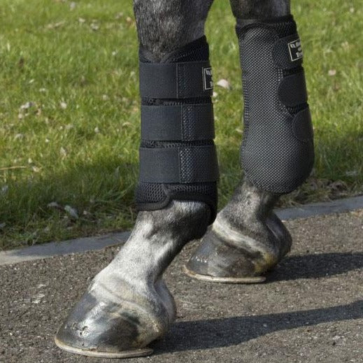 Guêtres de travail souples aux effets thermiques pour poneys et chevaux Back On Track portées