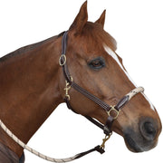 Licol pour poneys et chevaux Canter Corde cuir marron et corde beige