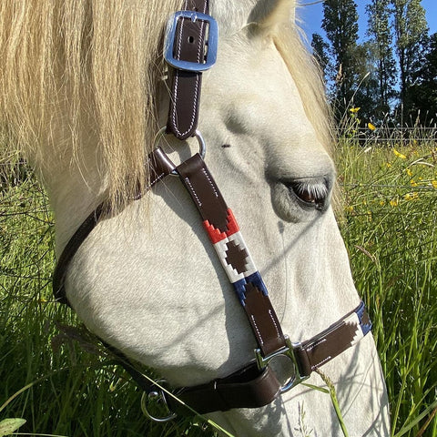 Licol en cuir brodé pour poneys et chevaux Flags&Cup Chukka marron bleu/blanc/rouge