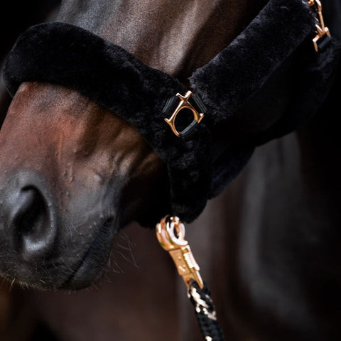 Licol doublé de fourrure synthétique pour poneys et chevaux Imperial Riding Go Star noir détail