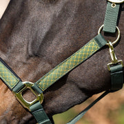 Licol pour poneys et chevaux HKM Basil vert détail