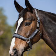 Licol pour shetlands, poneys et chevaux HKM Berry gris