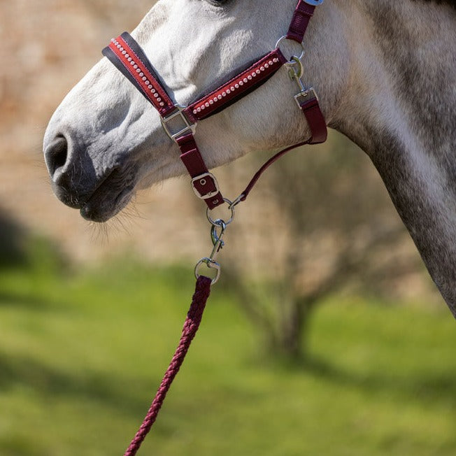 Longe pour poneys et chevaux HKM Berry rouge