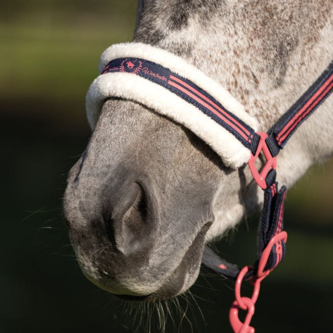 Licol pour poneys et chevaux HKM Classic Polo marine porté