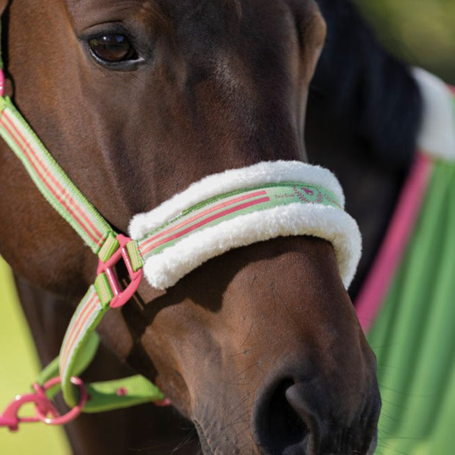 Licol pour poneys et chevaux HKM Classic Polo vert pomme porté