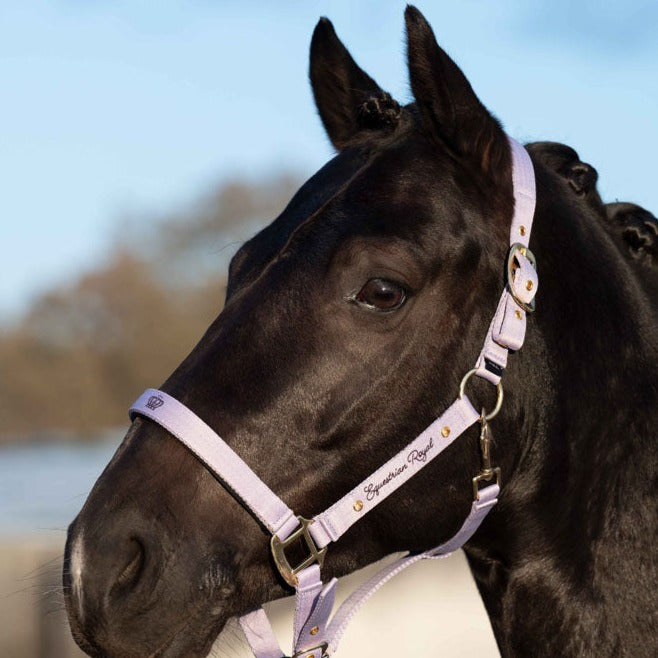 Licol pour poneys et chevaux HKM Lavender Bay lavande