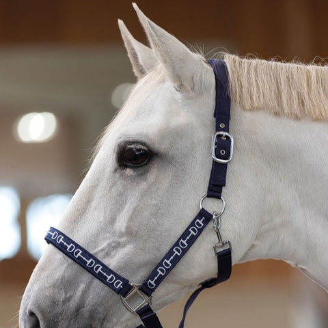 Licol pour poneys et chevaux HKM Monaco marine