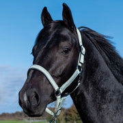 Licol pour poneys et chevaux HKM Monaco menthe