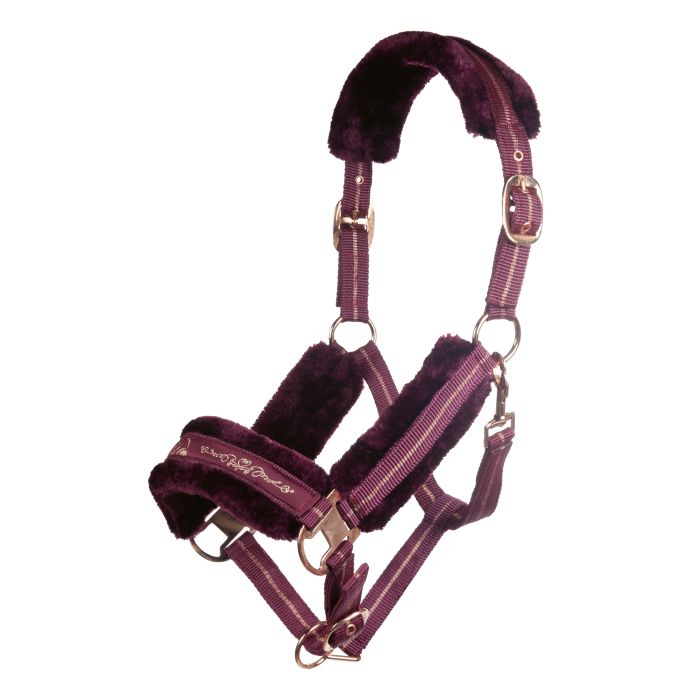 Licol avec longe pour poneys et chevaux HKM Rosegold bordeaux